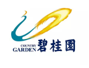 金东碧桂园地产